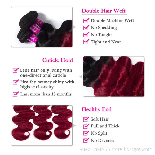 CELIE Body Wave 1B/Red Ombre Hair Extension Good Price 100% Virgin Human Hair China Hair Vendors